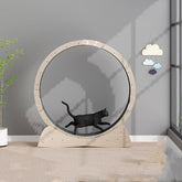 Cat Silent Treadmill Roller Машқи аз даст додани вазн